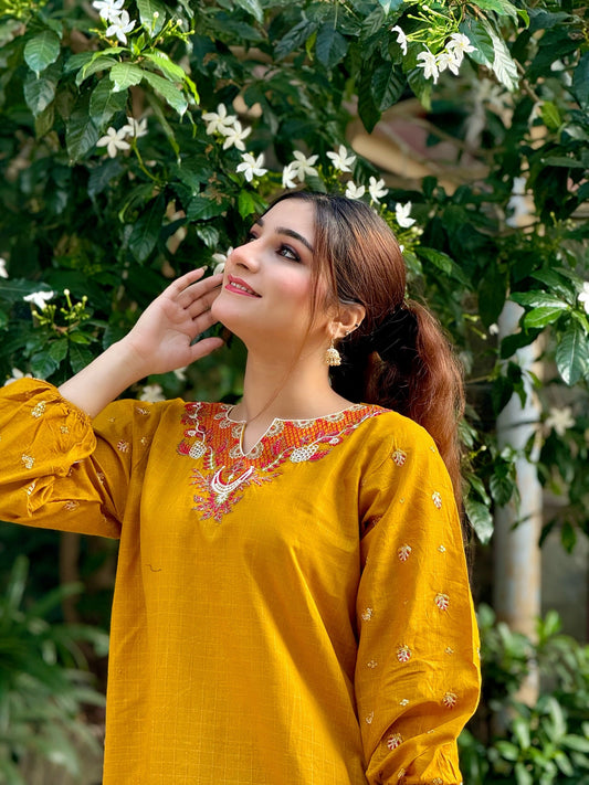 Aaira Embroidered cotton 2pcs Ca_closet